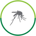 Serviços - Controle de Mosquitos